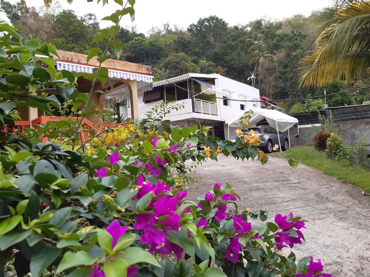 La Poulette Amazonienne Villa Riviere-Pilote Exterior photo